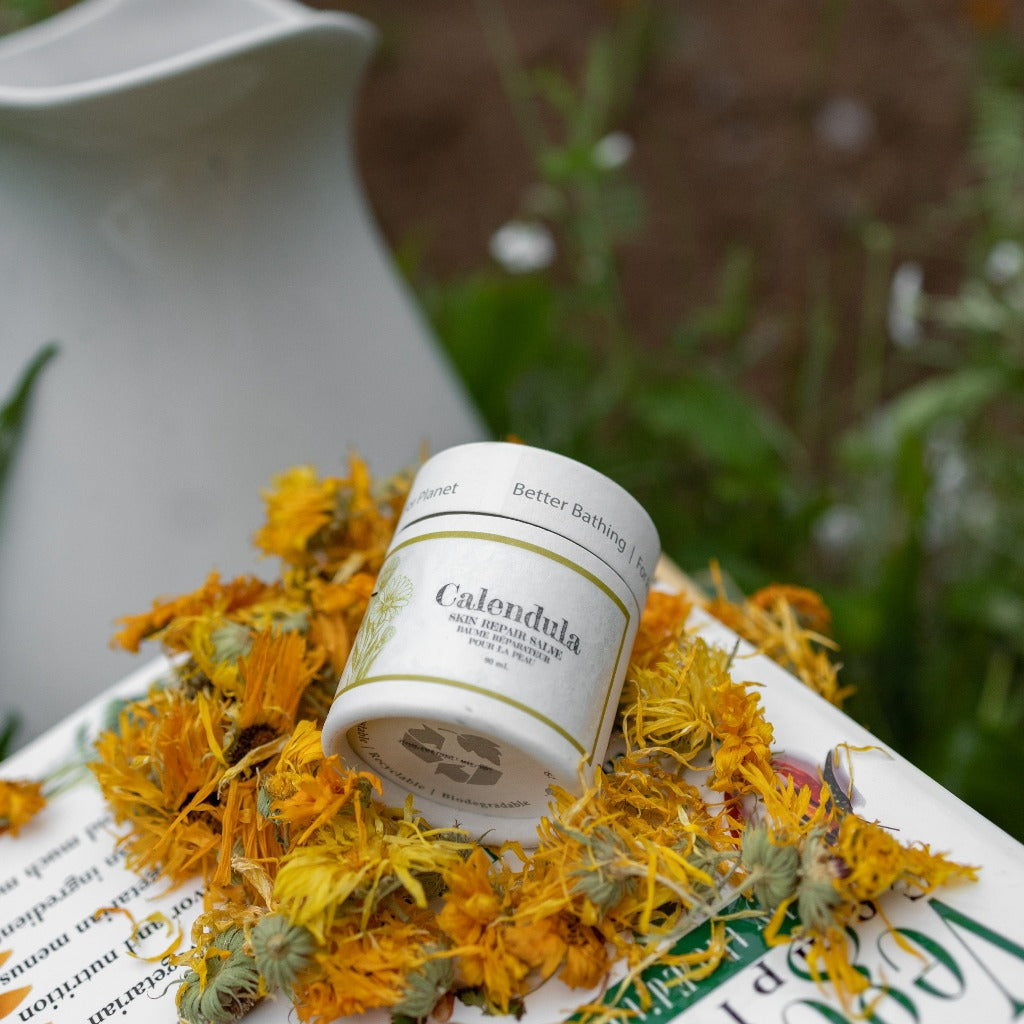 Bubbles & Balms Calendula Salve for Sensitive Skin in a pile of Calendula flowers
