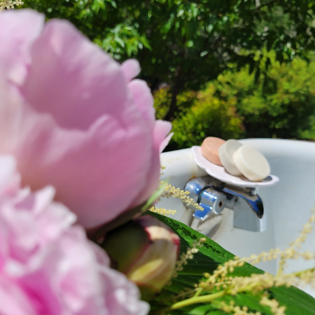 Best Organic Shave Bars in New Brunswick 