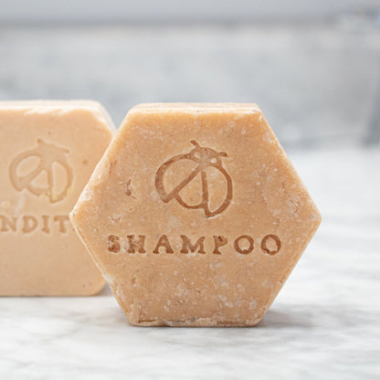 Rosehip and Lavender Shampoo and Conditioner Bars in NB