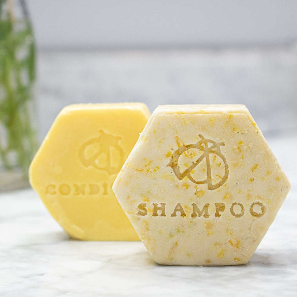 Coconut Orange Shampoo and Conditioner Bars Bubbles and Balms