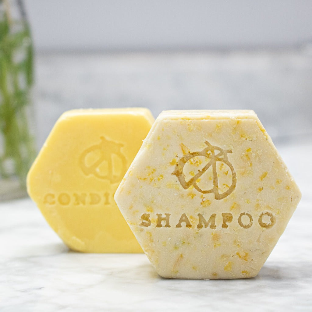 Coconut Shampoo bar near New Brunswick 